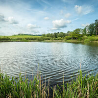 ET-2019-371-Vulcanpfad, Eichholzmaar © Eifel Tourismus GmbH, Dominik Ketz