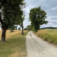 Jauerling-Runde 03: Maria Laach-Emmersdorf