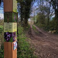 Markierung des Wandertrail-Bereichs von Contrevoz