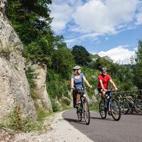 Immer dem Fluss entlang verläuft das Herzstück des Ybbstalradwegs