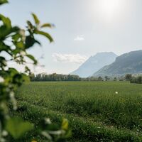 89 - laufrunde-woerschach-enns-21 © Christoph Lukas (2025-06).jpg