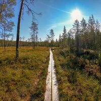 Der Weg hat einige Bohlenstege über das Moor