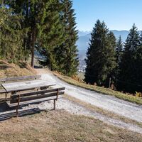 Höhenweg Foppa - Scheia - Fidaz - Flims