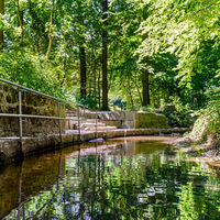 Versmold_Wassertretstelle_Stadtpark.jpeg