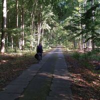 Kolonnenweg