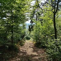Abstieg vom Berggasthof Sonnenalm nach Raßreuth