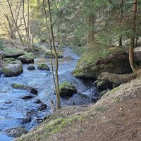 Die wilde Kamp
