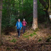Wandern auf dem Serpentinenpfad