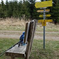 am Weg zur Turnerwiese