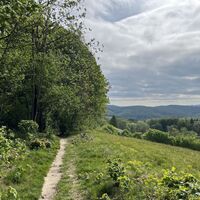Aus dem Wald heraustretend wirds wieder aussichtiger