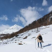 Bosco Gurin