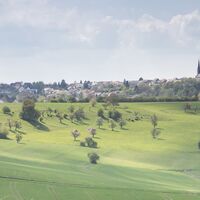 Blick auf Biesingen