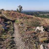 Mittelbergweg