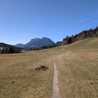 Scheffau_Niederachen_Feldweg nach Scheffau_Winter_Frühling