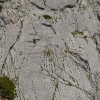 währenddessen schau ich schon mal wie es weitergeht