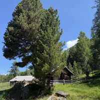 An einer kleinen unbewirtschafteten Alm vorbei (laut Karte: Katscherhütte)
