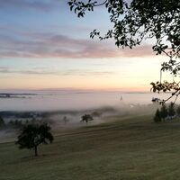 Blick auf Medelsheim