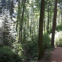 Edenkobener Tal