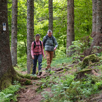Wandern auf dem Heilklima-Steig