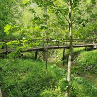 0.8 km Enns-Seitenarm