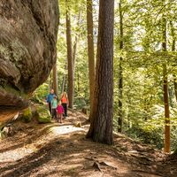 Wanderer am Saufelsen auf dem Rodalber Felsenwanderweg