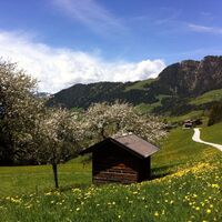 Mittlerer Höhenweg Alpbach.JPG