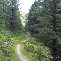 Zirmweg zur Lizumer Hütte (Alternativroute)