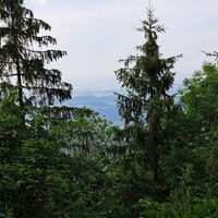 Gipfel Geißbühel (Goasbichl)