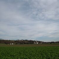 Fels - Absdorf