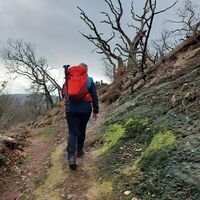 Aufstieg zum Drachenstein