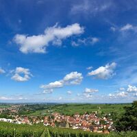 Panoramablick über Birkweiler
