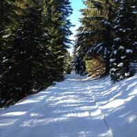 durch den Wald nach Rellseck