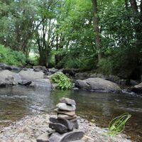 Die Orke bei Medelon