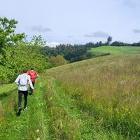 Grasiger Abstieg - Schwarzenburg-Köniz Trailrun