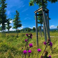 Blick auf Bärenstein vom Radweg