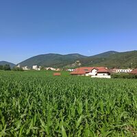 Ein Blick auf Ober-Piesting