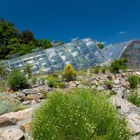 Botanischer Garten Graz mit Glashäusern