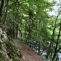 Schmale Pfade oberhalb der Sieg