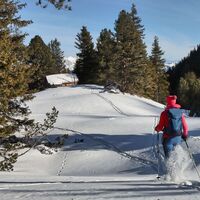 Wintergenuss Scheibelalm