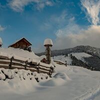 Ebneralm