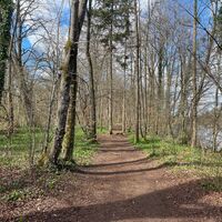 Auen-Trail - Steyr Unterhimmler Au
