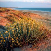 nature image 10