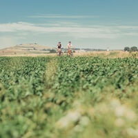Ostalb-Radrunde - Riesbürg
