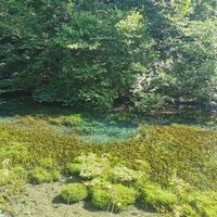 Die Almequellen bei Brilon Alme - Sauerland-Waldroute