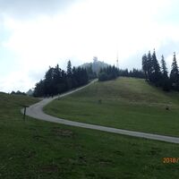Aufstieg Gipfel Muckenkogel