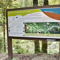 Infotafel GeoDorf Gams