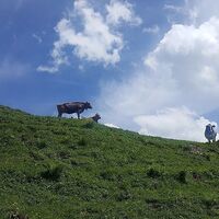 Wandern im Lecknertal