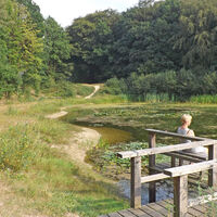 Der Oereler See mit Steg und Holzbank