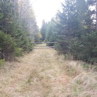 Almhausweg: Entlang des "sommerlangen Zaunes" (Weg Nr. 546)