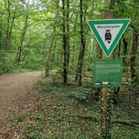 Auf der Haardt bei Gersheim